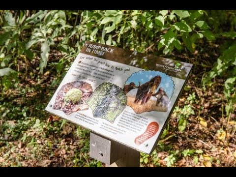 ChromaLuxe Outdoor Signage at The Parklands